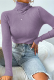 Multicolor Solid Ribbed Knit Turtleneck Sweater