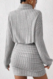 Autumn And Winter Women'S New Slim Fashion Ribbed High Collar Hip Long Sleeve Dress