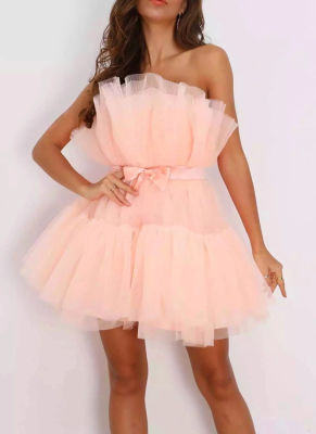 Sexy Tube Top Mesh Elegant Bow Tutu Dress