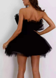 Sexy Tube Top Mesh Elegant Bow Tutu Dress