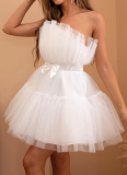 Sexy Tube Top Mesh Elegant Bow Tutu Dress