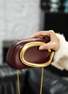 Retro Metal Handle Dinner Mini Chain Shoulder Crossbody Bag