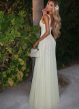 2025 New Sexy Slim V-neck Backless Suspender Long Mesh Dress