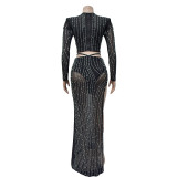 Fashionable Solid Color Mesh Long-sleeved Long Skirt Two-piece Set