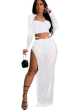 Fashionable Solid Color Mesh Long-sleeved Long Skirt Two-piece Set