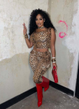 Hot Style Elastic Lace-up Cropped Trousers Leopard Print Suit