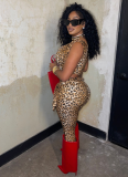 Hot Style Elastic Lace-up Cropped Trousers Leopard Print Suit
