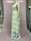 2025 Sexy Lace Deep V Sleeveless Evening Dress