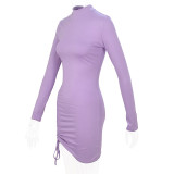 New High Collar Purple Long Sleeve Pleated Lace Dress