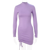 New High Collar Purple Long Sleeve Pleated Lace Dress