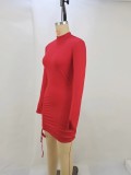 New High Collar Purple Long Sleeve Pleated Lace Dress