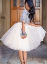 Fashionable and Versatile Pleated Elegant Mesh Skirt