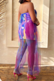 Sexy See-Through Elastic Mesh Stitching Slim-Fitting Hip Dress