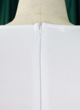 Fashionable And Elegant Ruffled Solid Color Banquet Dress