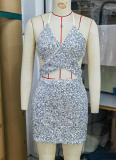 Silver Halter Neck Backless New Summer Sequined Tassel Sexy Dress