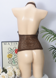 Brown Shiny Deep V Solid Color Vest Fashionable Sexy See-Through Sway Collar Halter Neck Top For Women