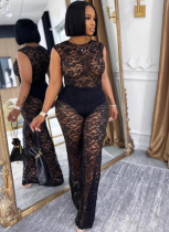 Elegant See-Through Lace Elastic Slim Fit Two-Piece Suit