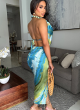 Sexy Deep V Neck Beaded Halter Neck High Slit Printed Satin Dress