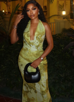 Fashion Printed Backless Slim Fit Deep V Neck Halter Dress Wholesale