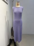 Sexy Slim Fit Glitter Sleeveless Backless Fishtail Beach Cover Up Dress
