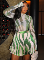 Fashionable Slightly Transparent High Collar Printed Loose Waist Skirt Two-piece Set
