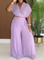Casual Holiday Style Lapel Short Top High Waist Wide Leg Pants Two Piece Set Wholesale
