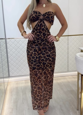 Summer New Leopard Print Sexy Wrap Chest Mesh Dress