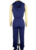 Colorblock Hooded Sleeveless Top and Drawstring Trousers Two-Piece Set