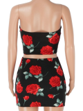Summer New Tube Top Printed Top Short Skirt Hot Girl Two Piece Set