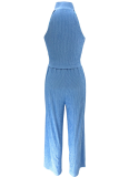 Summer Sleeveless Tops Pleated Loose Trousers Solid Color Two-Piece Suit For Women