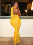 Sexy Slim Fit backless High Collar Long Fishtail Dress