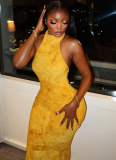 Sexy Slim Fit backless High Collar Long Fishtail Dress