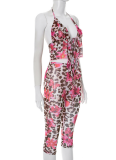 Leopard Print Halter Neck Ruffled Top Shorts Two-Piece Set