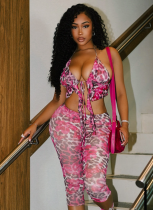 Leopard Print Halter Neck Ruffled Top Shorts Two-Piece Set