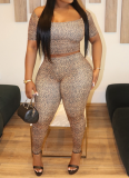 Spring And Summer Leopard Print Navel Top High Waist Pants Two-Piece Set