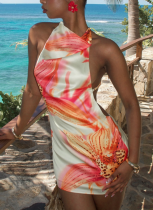 Sexy Holiday Style Printed Backless Hot Girl Hip Dress