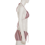 Halter Neck Tie Triangle Bra Low Waist Shorts Swimsuit Bikini Set