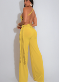 Sexy Backless Halter Neck Tube Top Gathered Pleated Tie Rope Wide Leg Jumpsuit