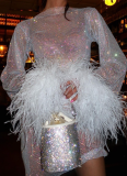 Sexy Fur Sleeves Shimmering Mesh Dress