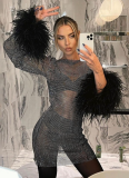 Sexy Fur Sleeves Shimmering Mesh Dress