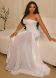 Women'S See-Through Tube Top Slim Solid Color Dress
