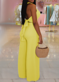 Casual Solid Color Buckle Halter Sleeveless Two Pieces
