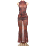 Sexy Hot Girl Mesh Animal Print Half-High Neck Sleeveless Maxi Dress Set