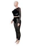 Casual Solid Color Mesh Zipper O Neck Long Sleeve Two Pieces