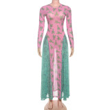 2025 Autumn Mesh Round Neck Contrast Color Loose Waist Long Sleeve Printed Dress