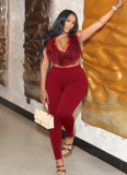 Furry Backless Bodysuit And Pants Two-Piece Set