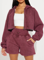 Women's Sports Hooded Zipper Long Sleeve Sweatshirt High Waist Lace-up Shorts Two-Piece Set