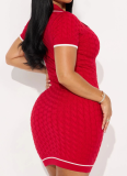 Fashion Threaded V-Neck Bubble Long Sleeve Dress