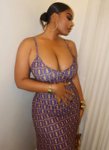 Slim-Fitting Backless Halter Sleeveless Long Dress