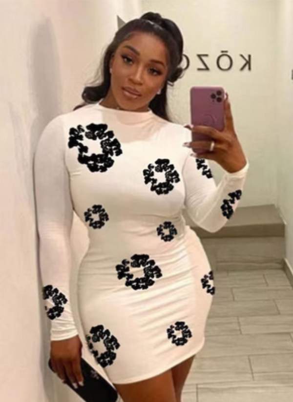 Round Neck Long Sleeve Floral Print Slim High Waist Dress